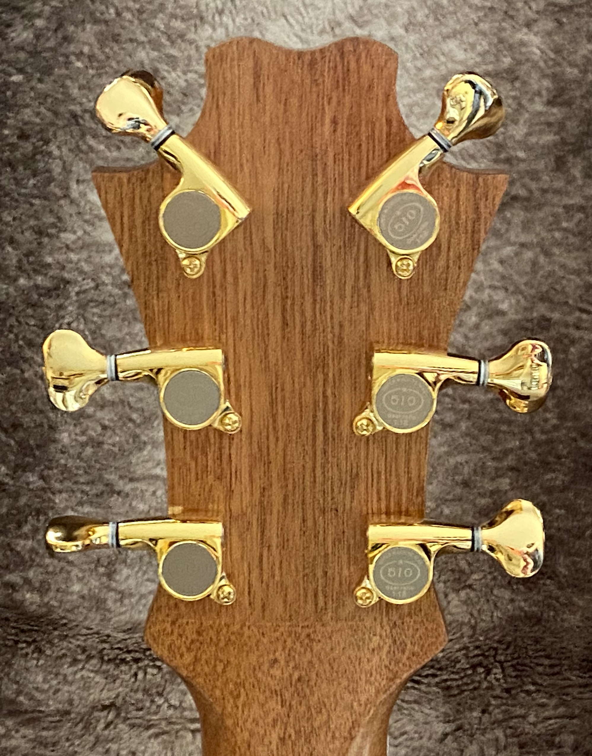 AG00 Headstock Back