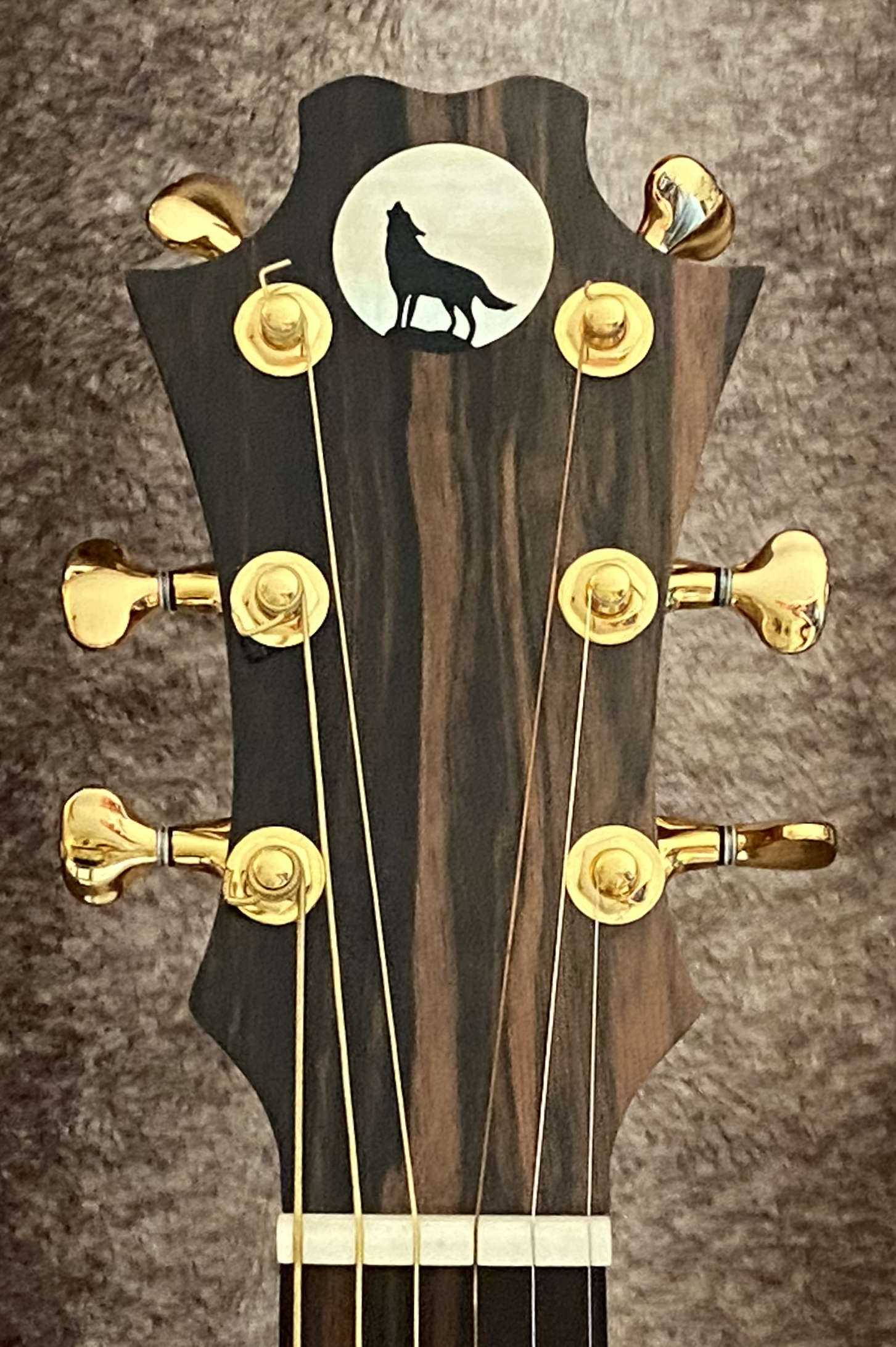 AG00 Headstock Front